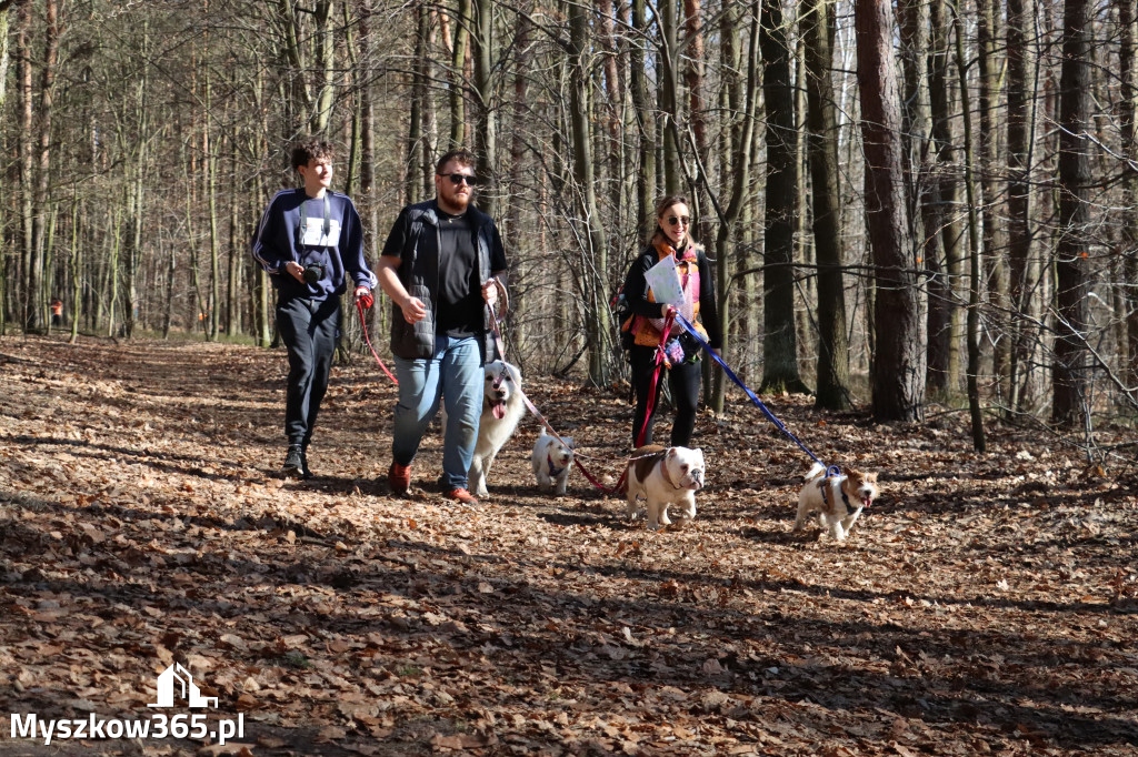 Fotorelacja I: Jurajski Dogtrekking w Myszkowie