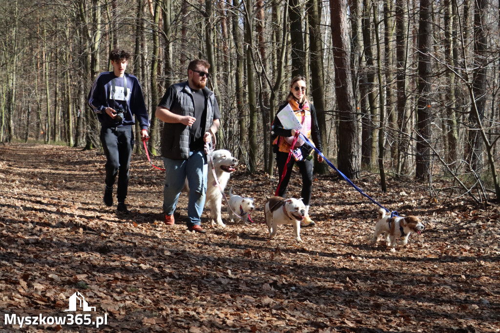 Fotorelacja I: Jurajski Dogtrekking w Myszkowie