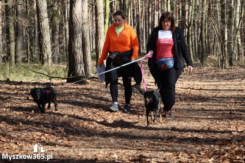 Fotorelacja I: Jurajski Dogtrekking w Myszkowie