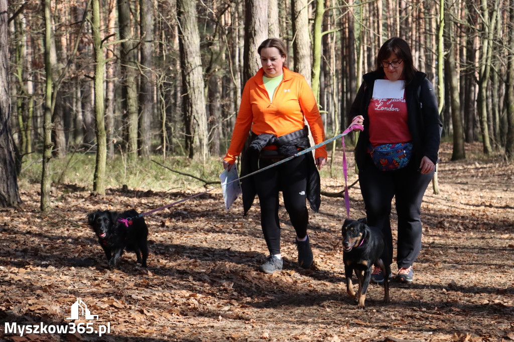 Fotorelacja I: Jurajski Dogtrekking w Myszkowie