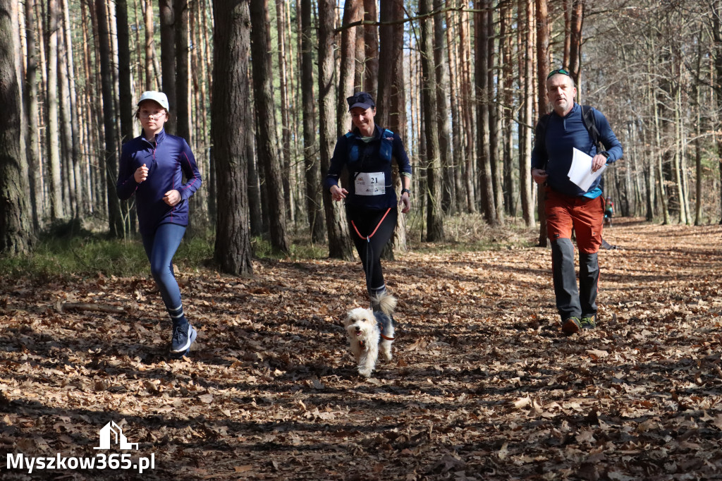 Fotorelacja I: Jurajski Dogtrekking w Myszkowie