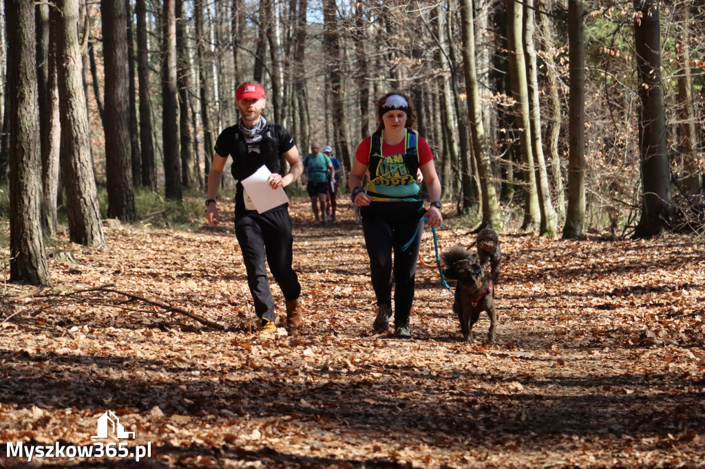 Fotorelacja I: Jurajski Dogtrekking w Myszkowie