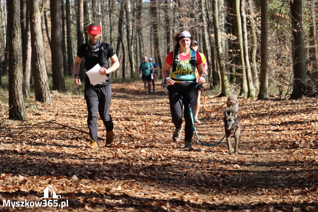 Fotorelacja I: Jurajski Dogtrekking w Myszkowie