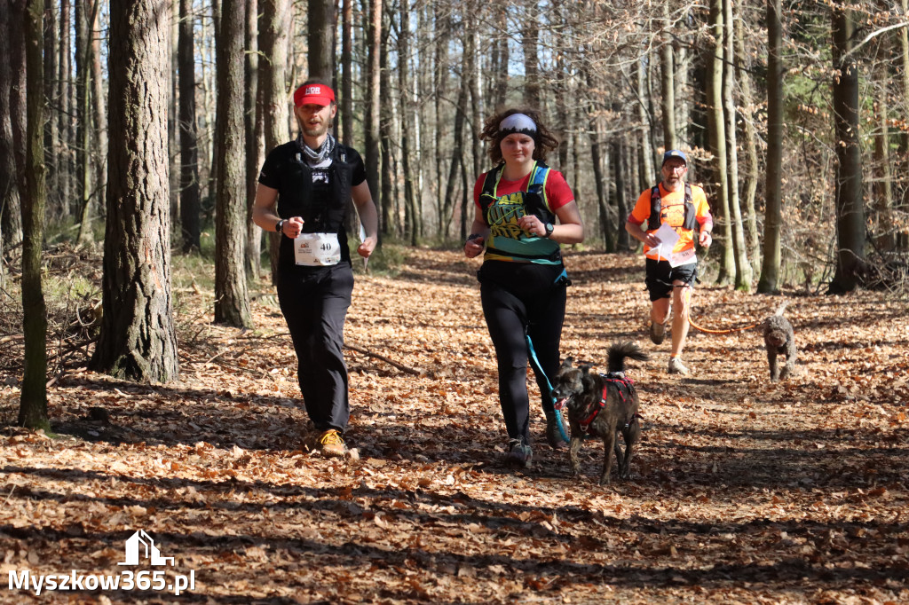 Fotorelacja I: Jurajski Dogtrekking w Myszkowie