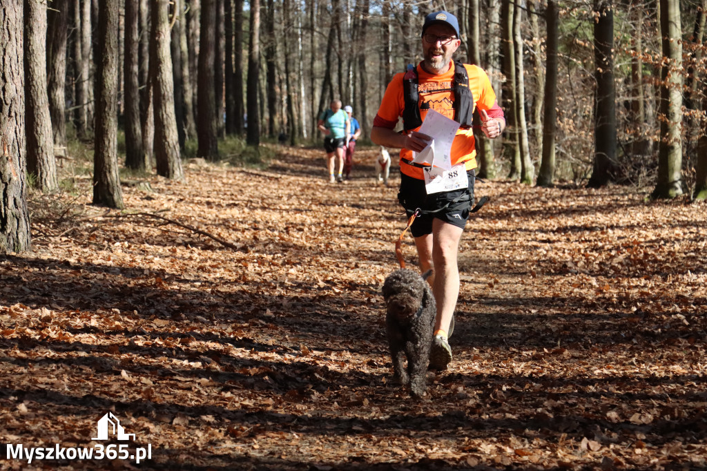 Fotorelacja I: Jurajski Dogtrekking w Myszkowie