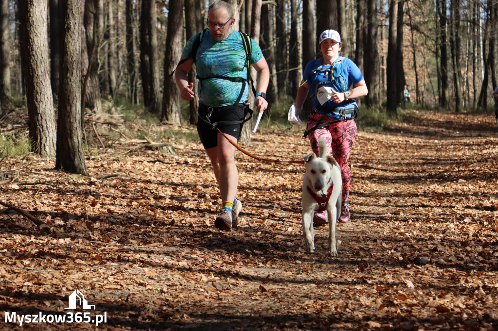 Fotorelacja I: Jurajski Dogtrekking w Myszkowie