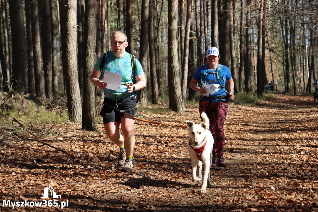 Fotorelacja I: Jurajski Dogtrekking w Myszkowie