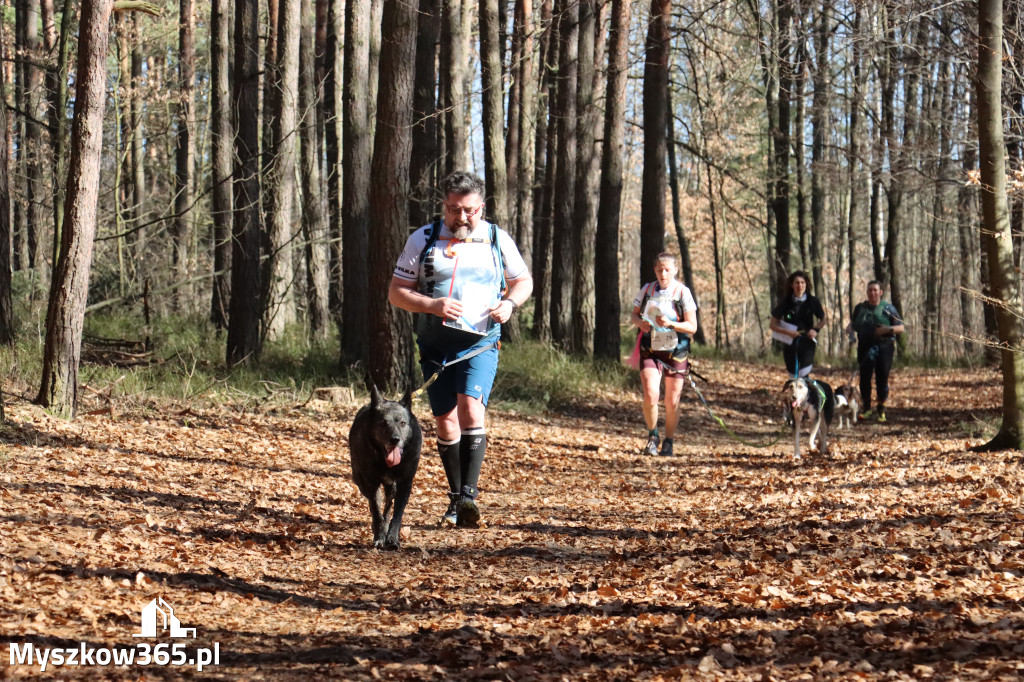 Fotorelacja I: Jurajski Dogtrekking w Myszkowie