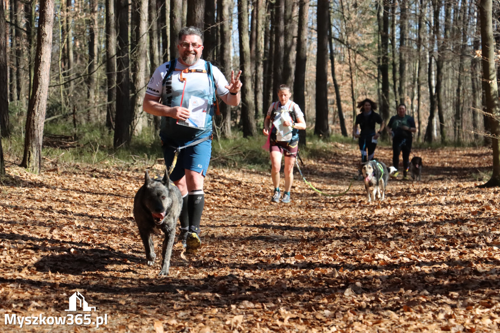 Fotorelacja I: Jurajski Dogtrekking w Myszkowie