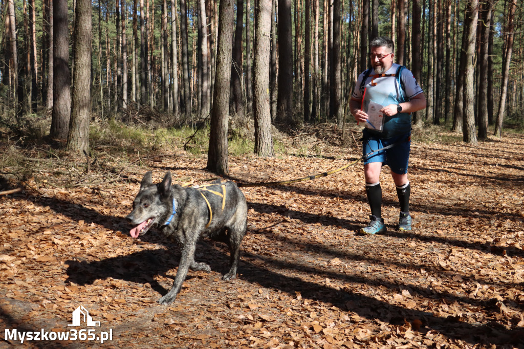 Fotorelacja I: Jurajski Dogtrekking w Myszkowie