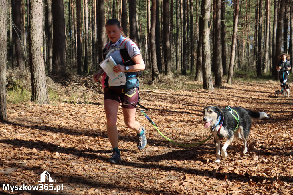Fotorelacja I: Jurajski Dogtrekking w Myszkowie