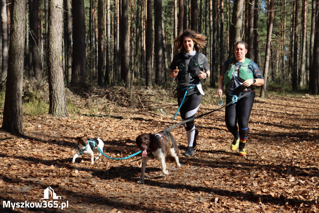 Fotorelacja I: Jurajski Dogtrekking w Myszkowie