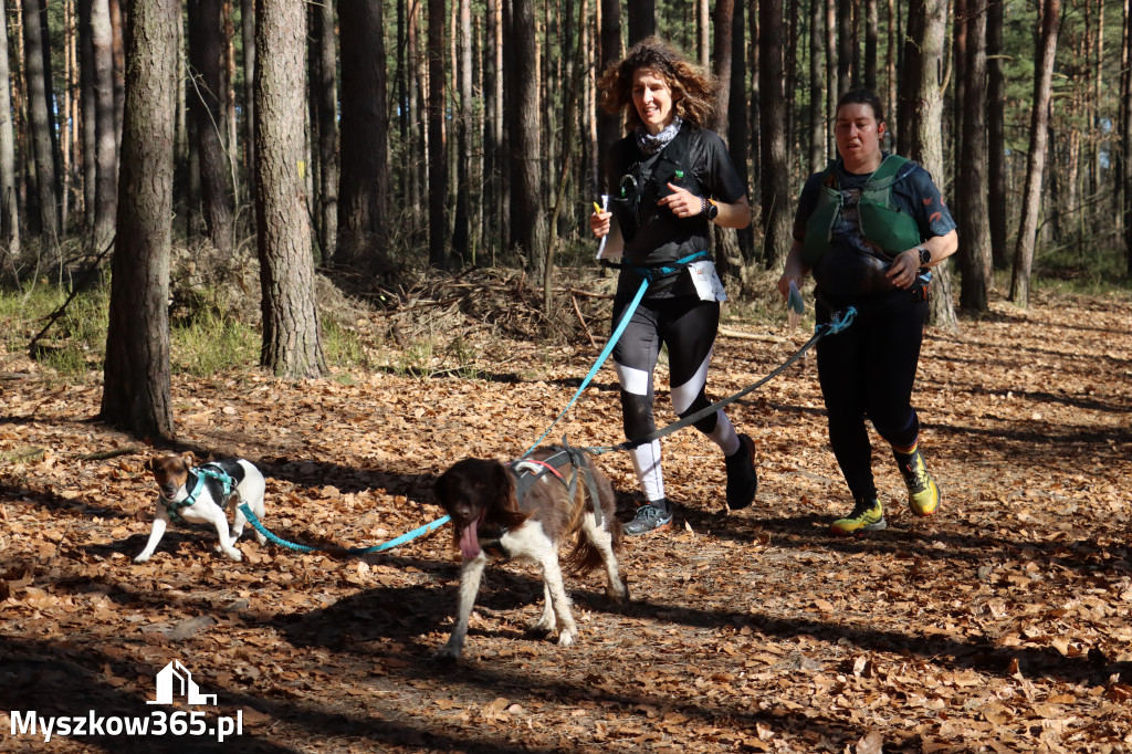Fotorelacja I: Jurajski Dogtrekking w Myszkowie