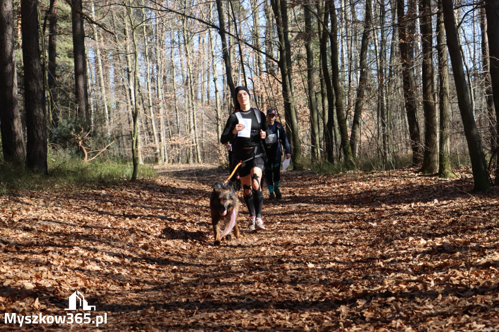 Fotorelacja I: Jurajski Dogtrekking w Myszkowie