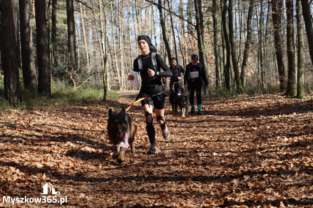 Fotorelacja I: Jurajski Dogtrekking w Myszkowie