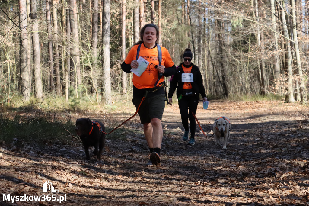 Fotorelacja I: Jurajski Dogtrekking w Myszkowie