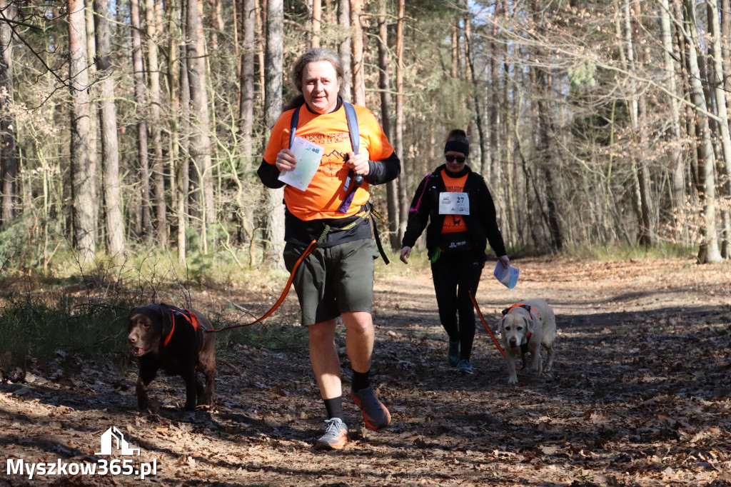 Fotorelacja I: Jurajski Dogtrekking w Myszkowie