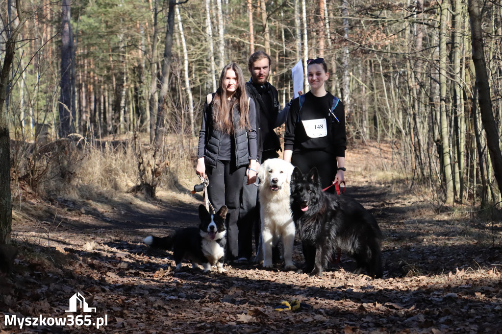 Fotorelacja I: Jurajski Dogtrekking w Myszkowie