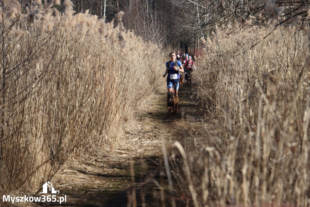 Fotorelacja I: Jurajski Dogtrekking w Myszkowie