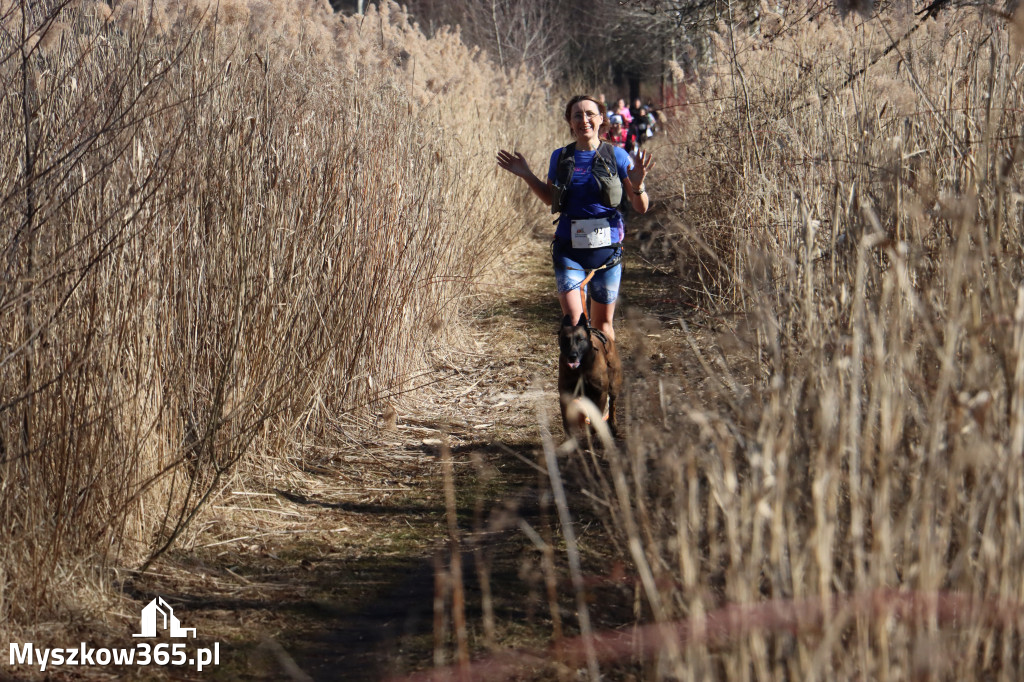 Fotorelacja I: Jurajski Dogtrekking w Myszkowie