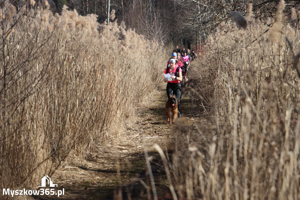 Fotorelacja I: Jurajski Dogtrekking w Myszkowie