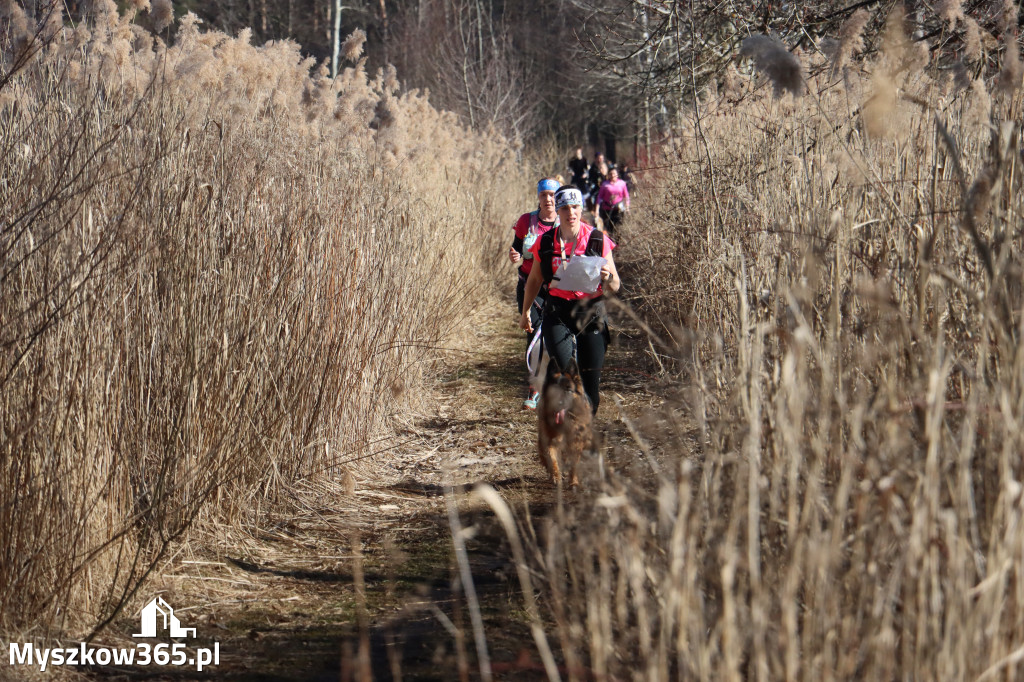Fotorelacja I: Jurajski Dogtrekking w Myszkowie