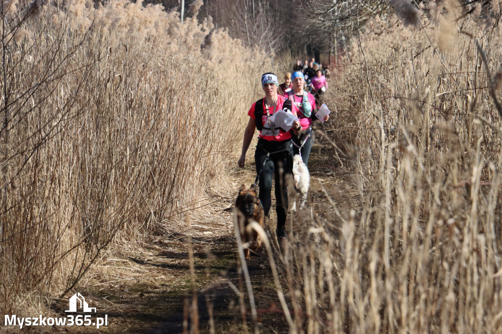 Fotorelacja I: Jurajski Dogtrekking w Myszkowie