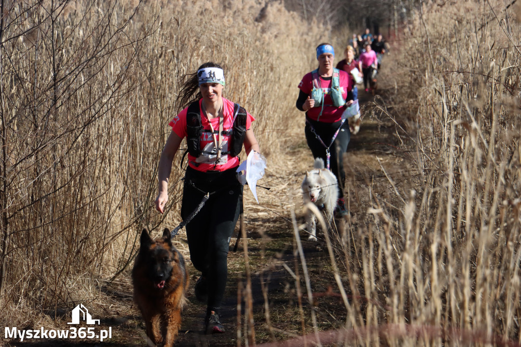 Fotorelacja I: Jurajski Dogtrekking w Myszkowie