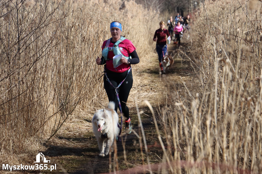 Fotorelacja I: Jurajski Dogtrekking w Myszkowie