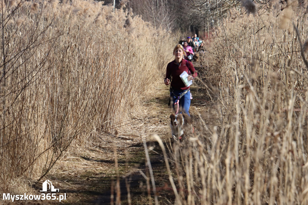 Fotorelacja I: Jurajski Dogtrekking w Myszkowie