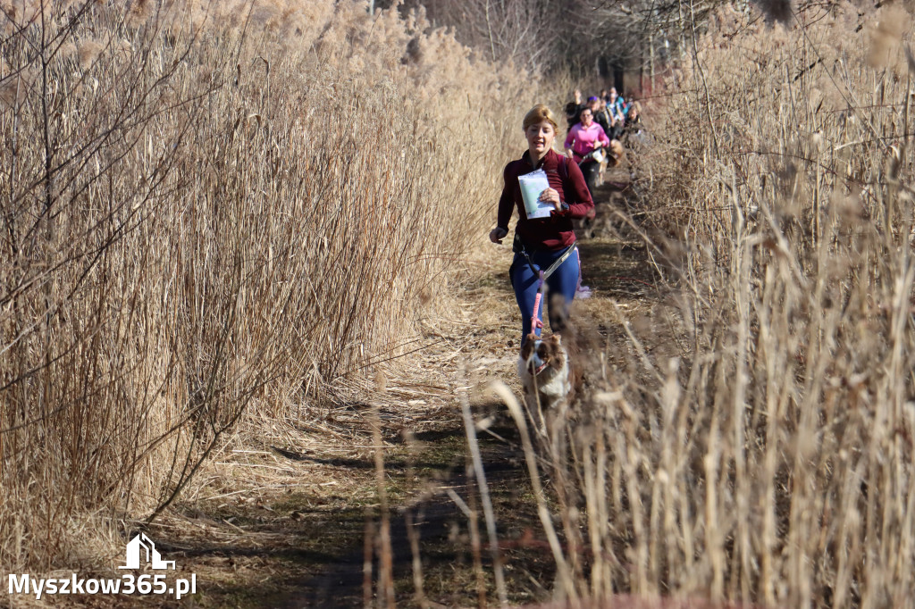 Fotorelacja I: Jurajski Dogtrekking w Myszkowie