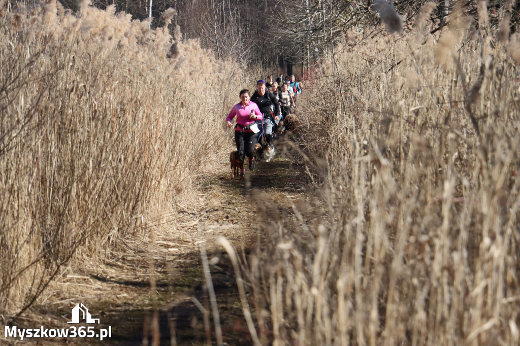 Fotorelacja I: Jurajski Dogtrekking w Myszkowie