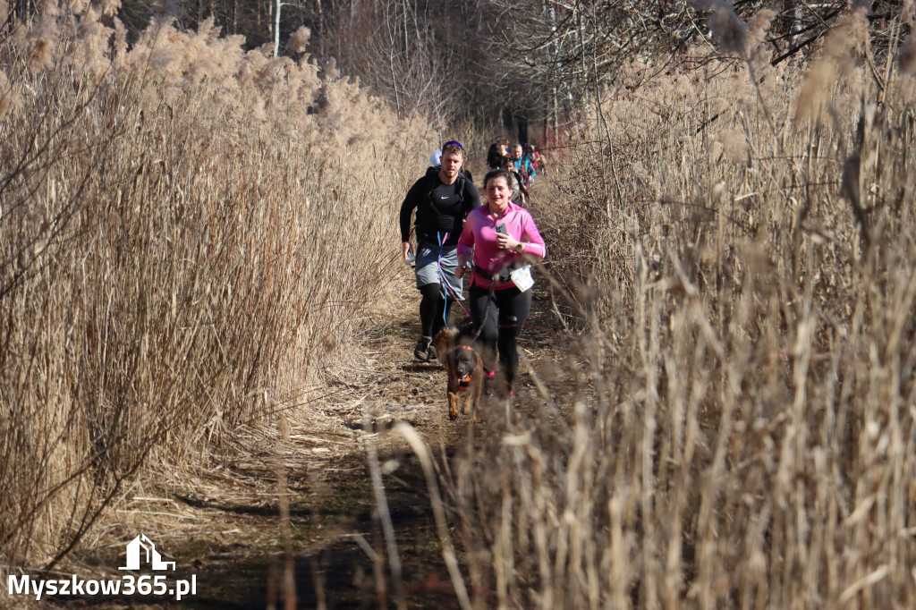 Fotorelacja I: Jurajski Dogtrekking w Myszkowie