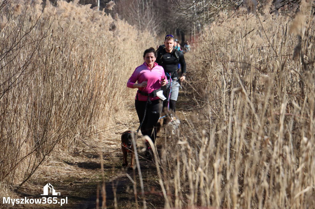 Fotorelacja I: Jurajski Dogtrekking w Myszkowie
