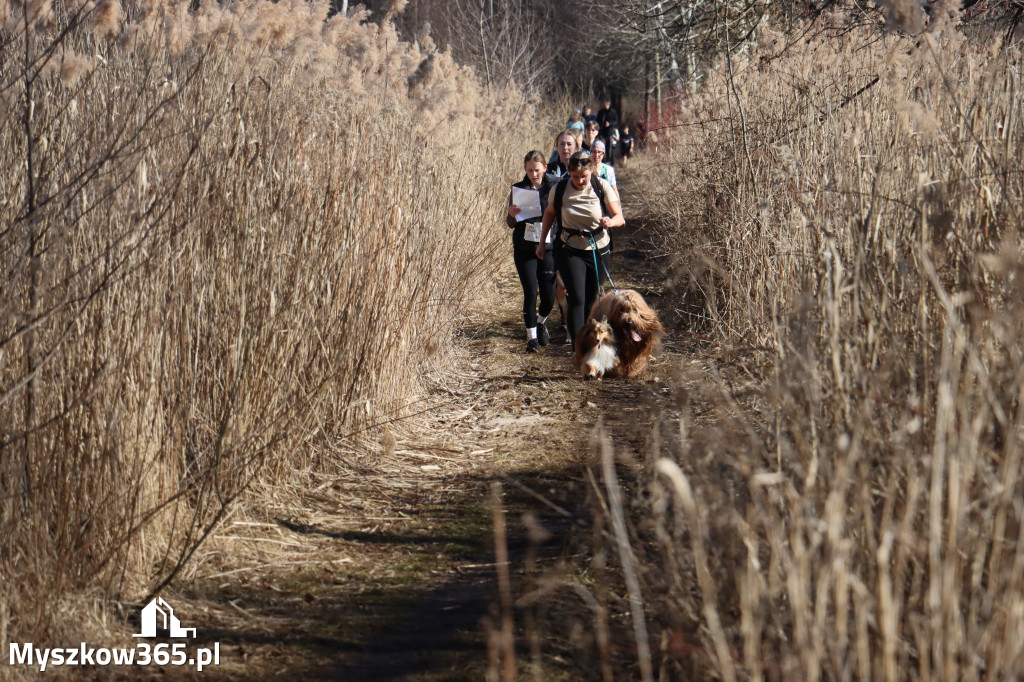 Fotorelacja I: Jurajski Dogtrekking w Myszkowie