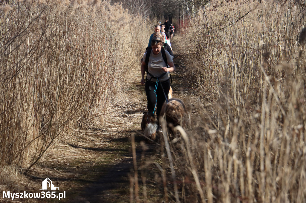 Fotorelacja I: Jurajski Dogtrekking w Myszkowie
