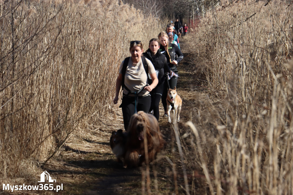 Fotorelacja I: Jurajski Dogtrekking w Myszkowie