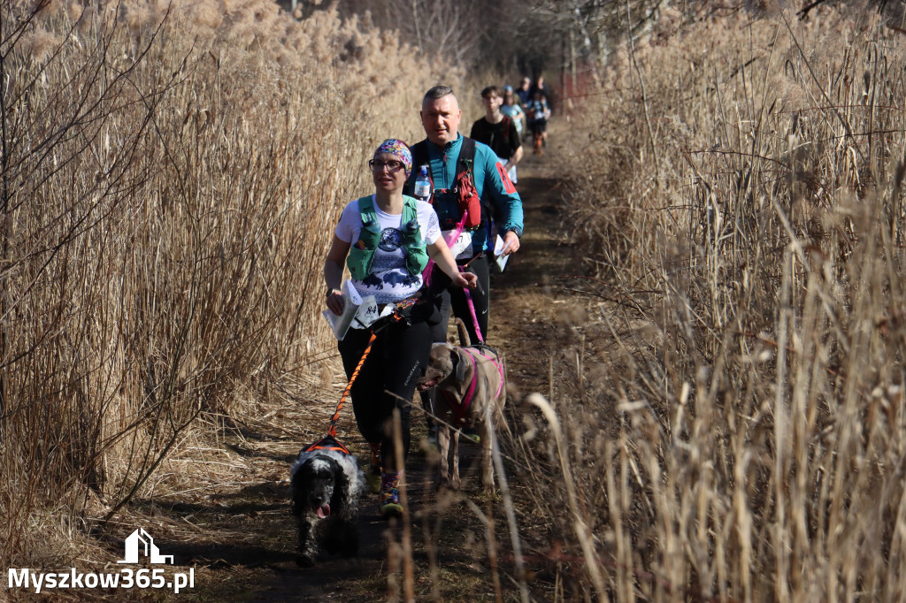 Fotorelacja I: Jurajski Dogtrekking w Myszkowie