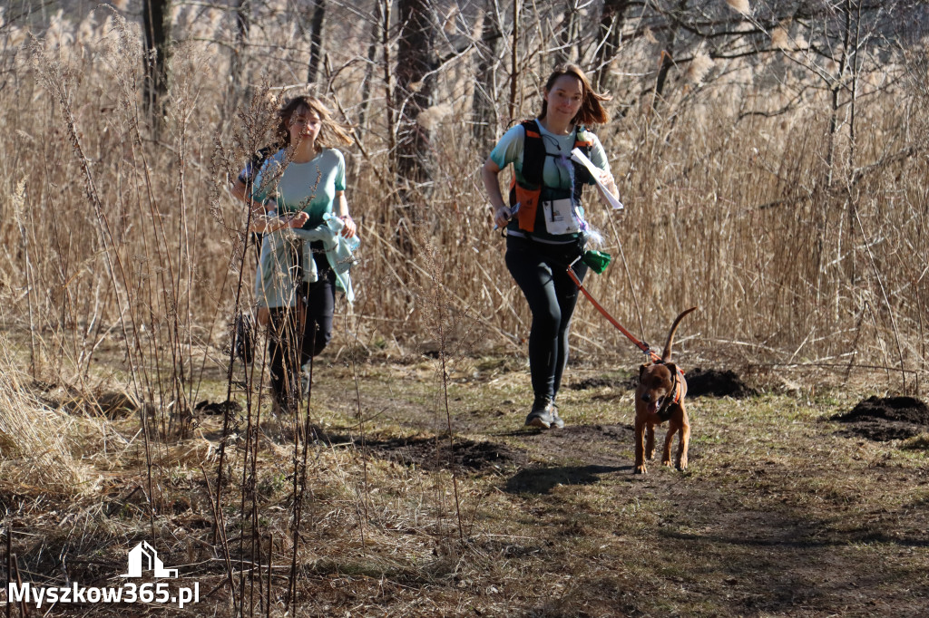 Fotorelacja I: Jurajski Dogtrekking w Myszkowie