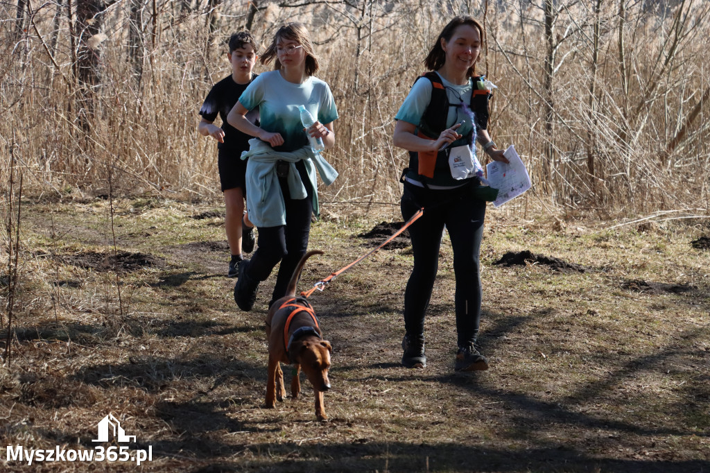 Fotorelacja I: Jurajski Dogtrekking w Myszkowie