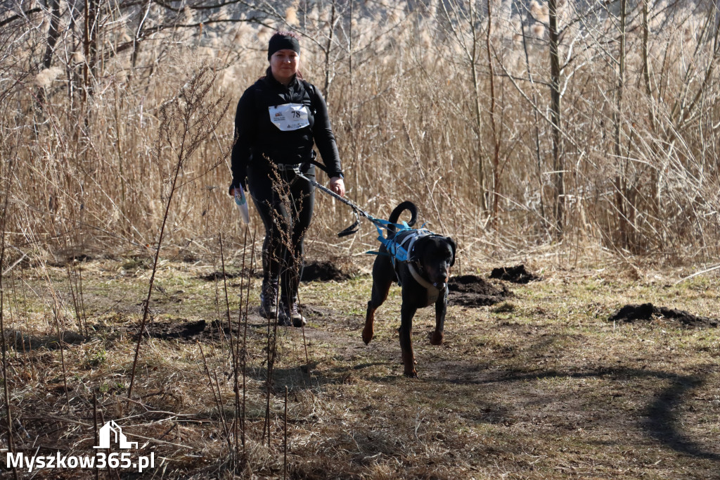 Fotorelacja I: Jurajski Dogtrekking w Myszkowie