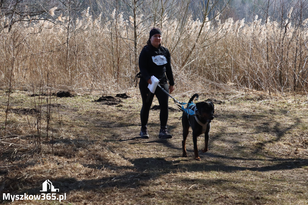 Fotorelacja I: Jurajski Dogtrekking w Myszkowie