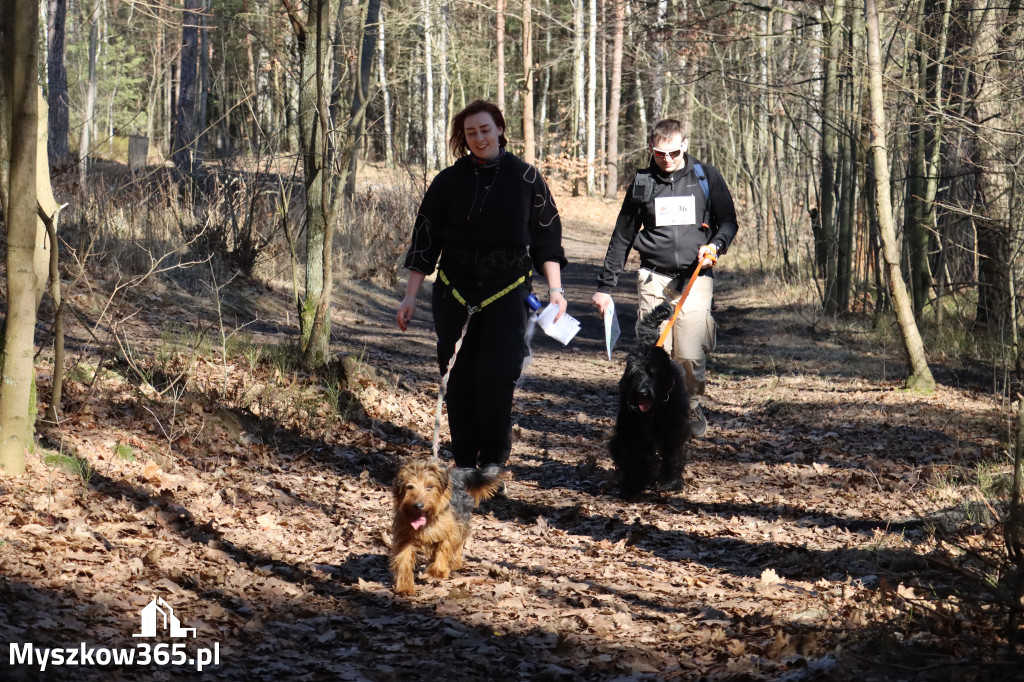Fotorelacja I: Jurajski Dogtrekking w Myszkowie