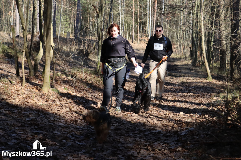 Fotorelacja I: Jurajski Dogtrekking w Myszkowie