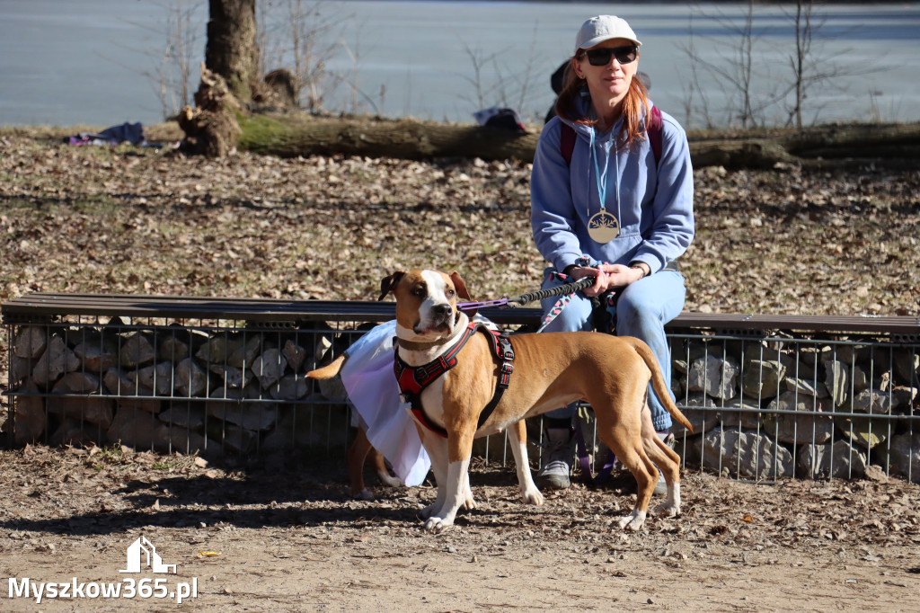 Fotorelacja I: Jurajski Dogtrekking w Myszkowie