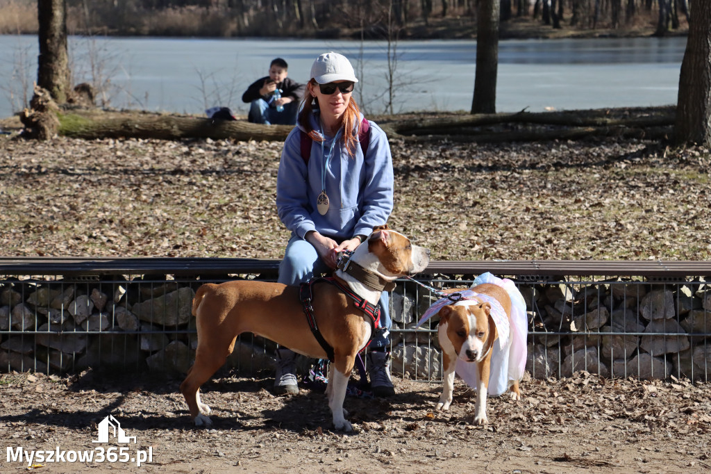Fotorelacja I: Jurajski Dogtrekking w Myszkowie