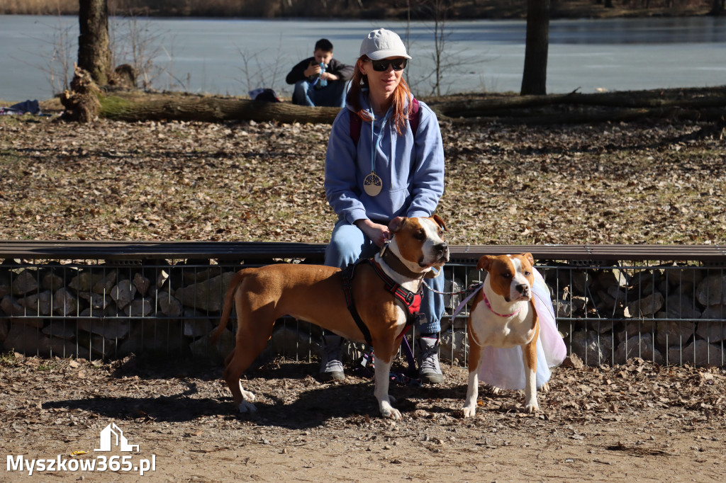 Fotorelacja I: Jurajski Dogtrekking w Myszkowie
