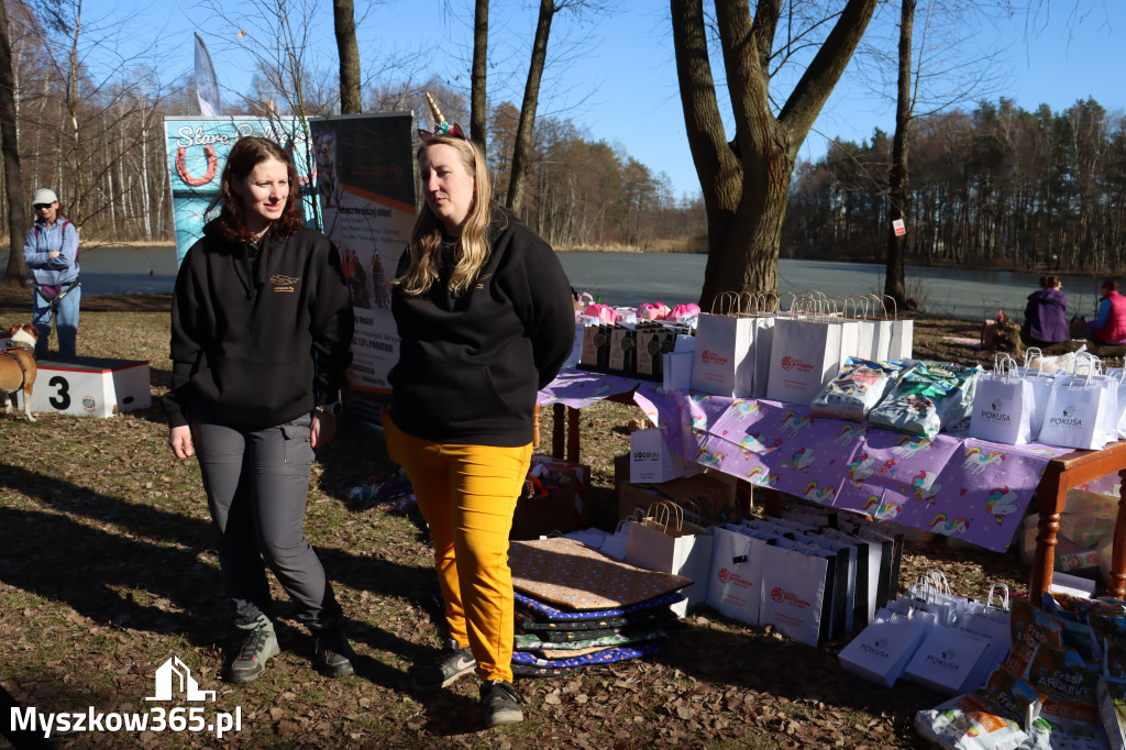 Fotorelacja II: Jurajski Dogtrekking w Myszkowie