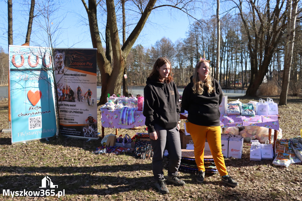 Fotorelacja II: Jurajski Dogtrekking w Myszkowie