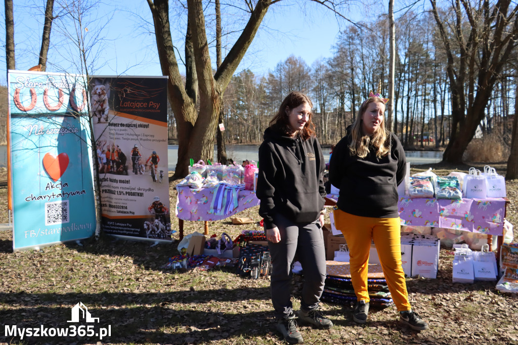 Fotorelacja II: Jurajski Dogtrekking w Myszkowie